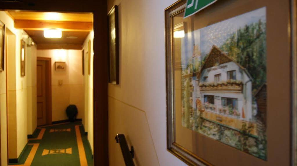 Gasthof Pension St. Wolfgang Kirchberg am Wechsel Exterior photo
